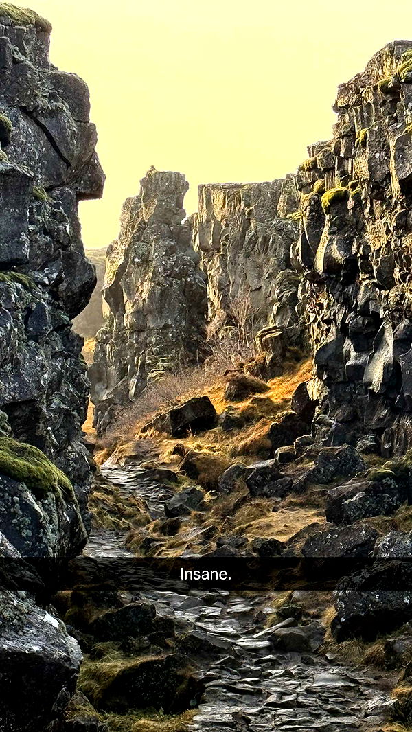 emilyelizabbeth image ~ Altpins