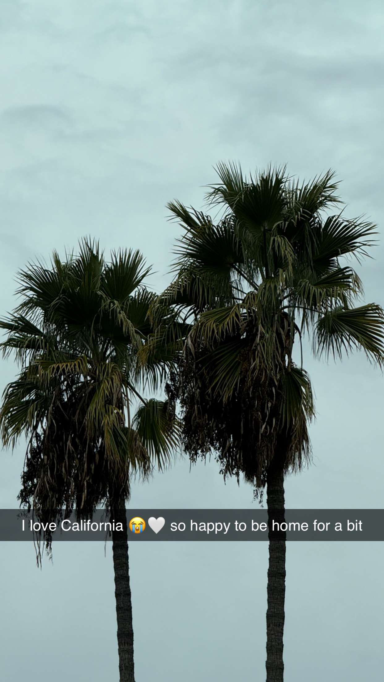 emilyelizabbeth snapchat image archive image