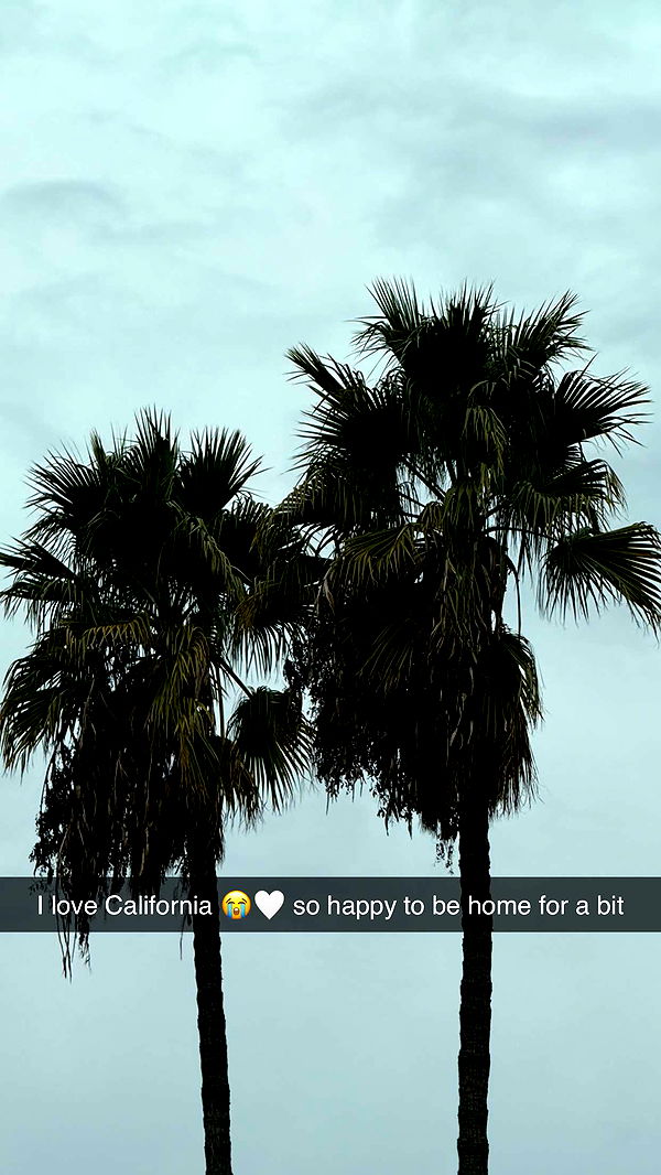 emilyelizabbeth image ~ Altpins