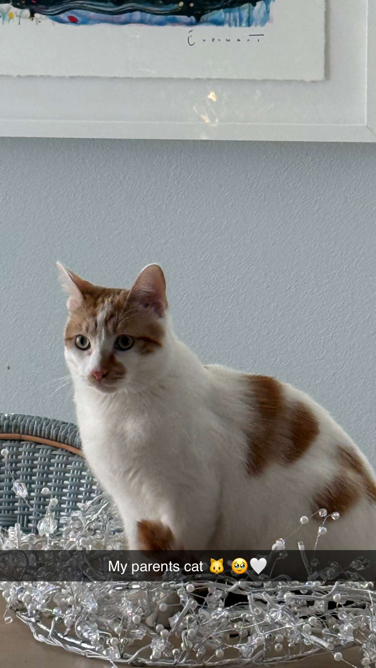 emilyelizabbeth snapchat image archive image