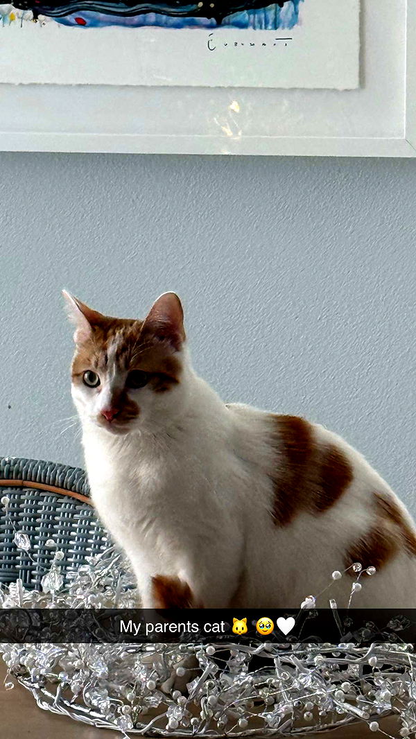 emilyelizabbeth image ~ Altpins