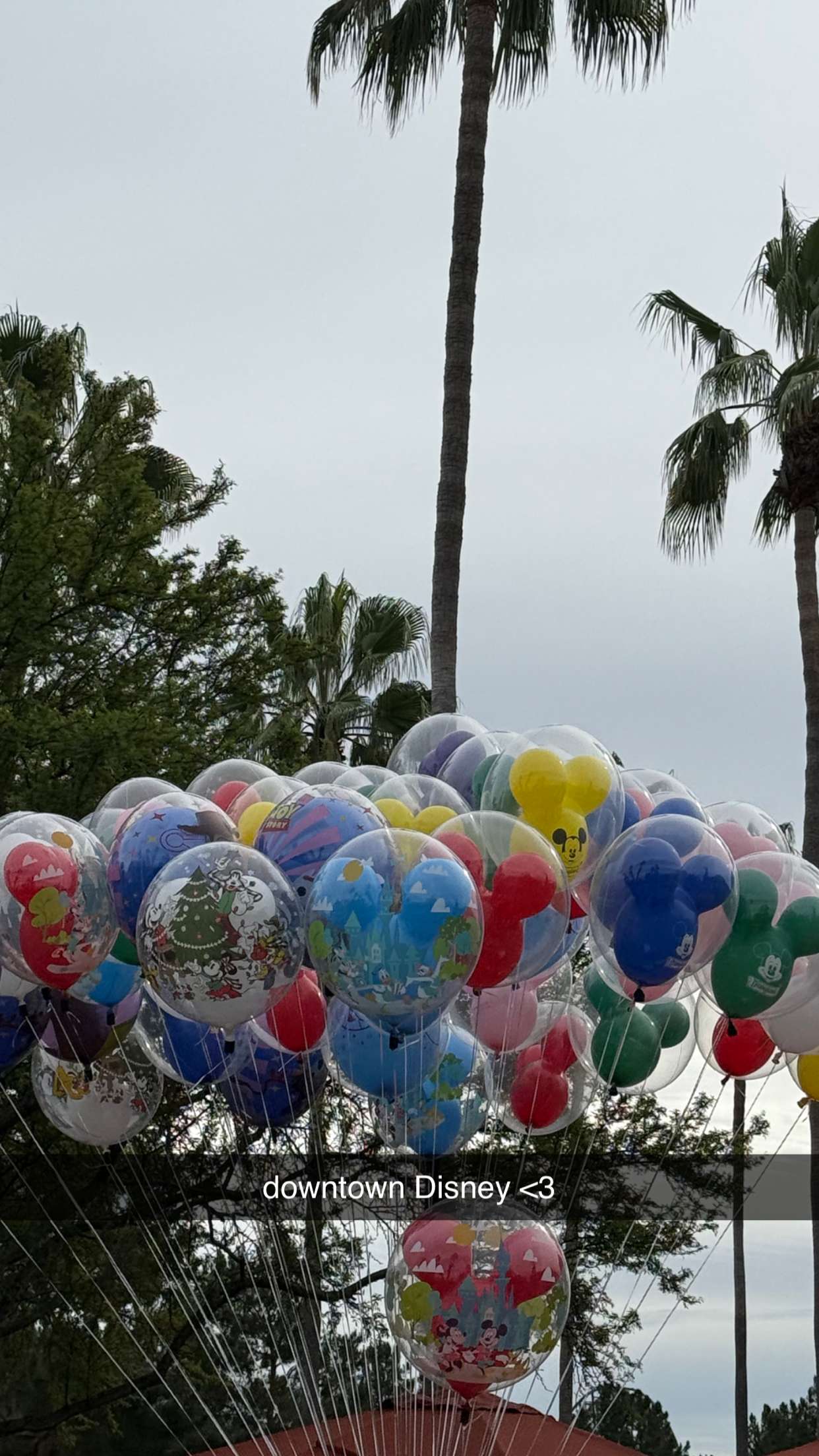 emilyelizabbeth snapchat image archive image