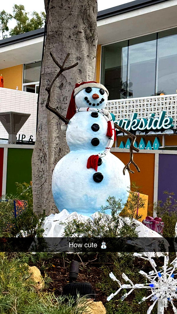 emilyelizabbeth image ~ Altpins