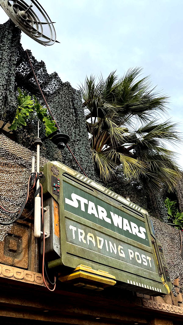 emilyelizabbeth image ~ Altpins