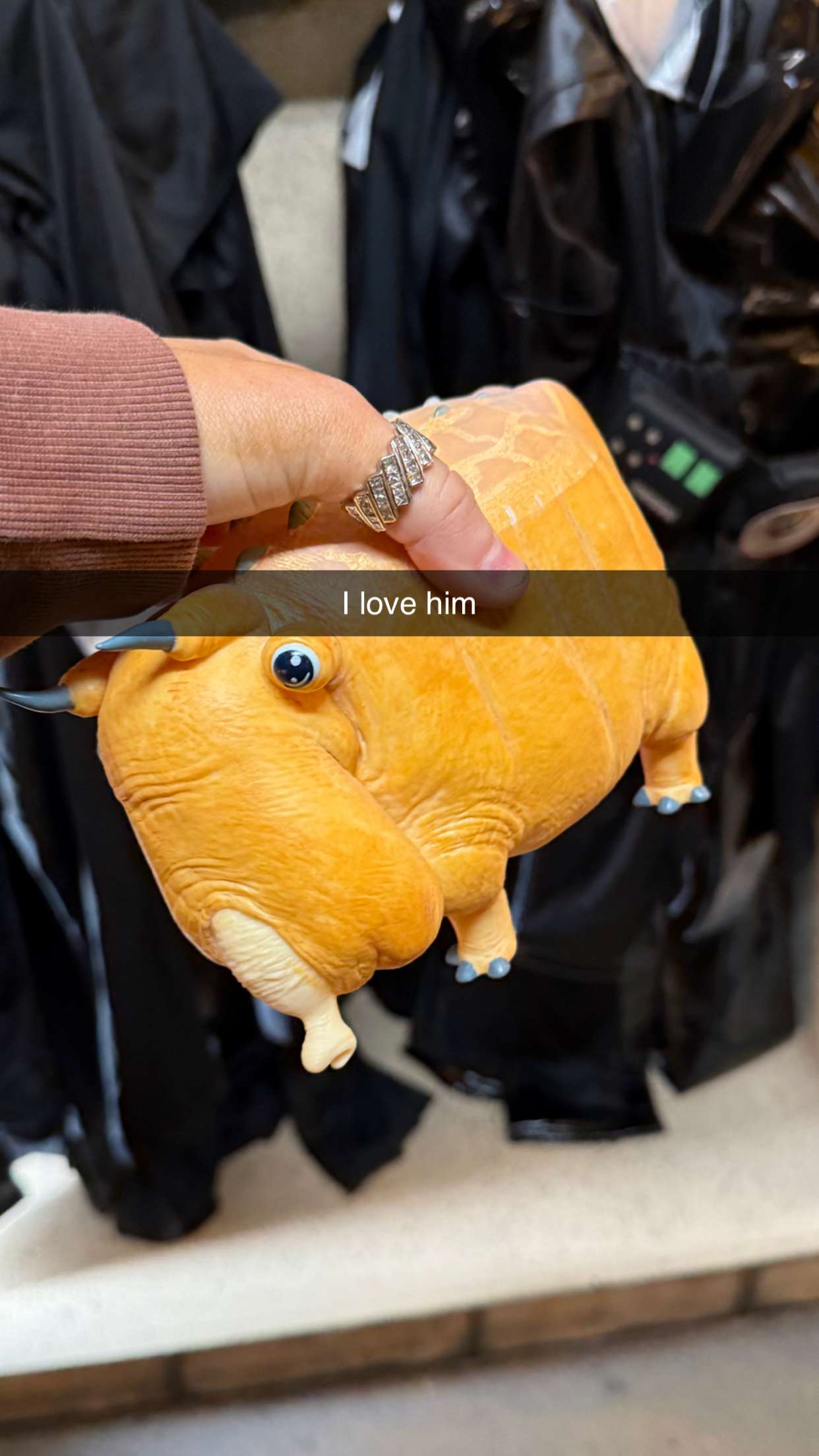 emilyelizabbeth snapchat image archive image