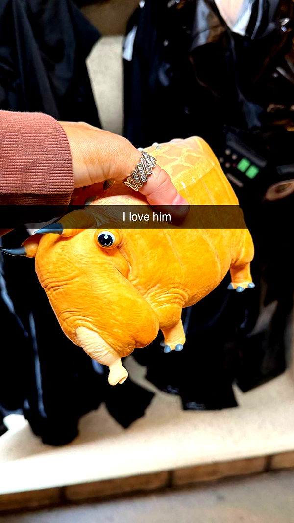 emilyelizabbeth image ~ Altpins