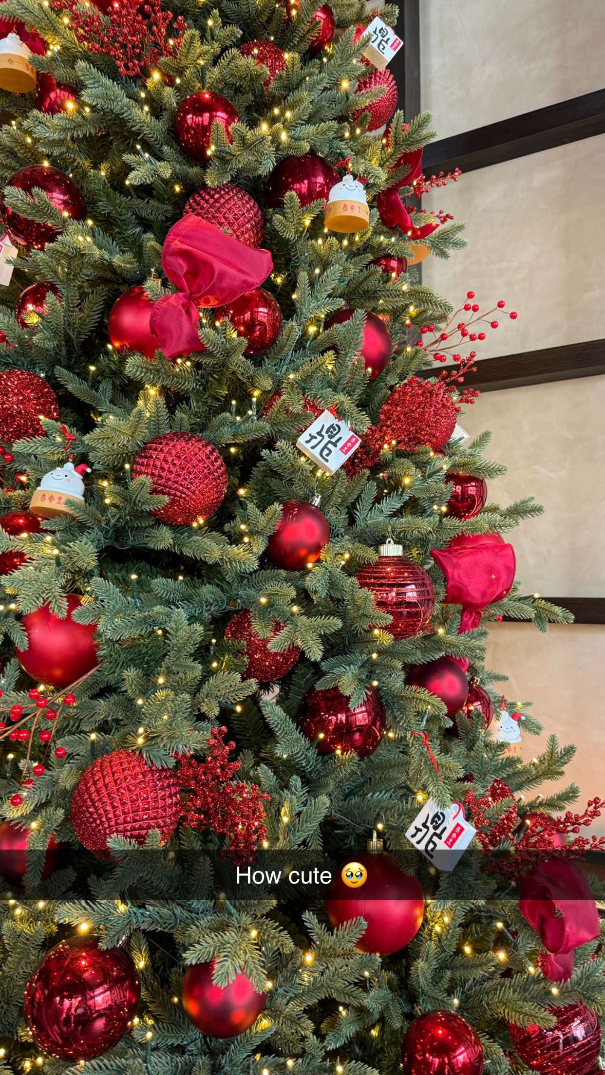 emilyelizabbeth snapchat image archive image