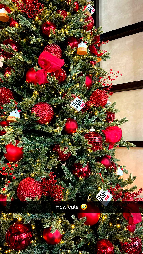 emilyelizabbeth image ~ Altpins