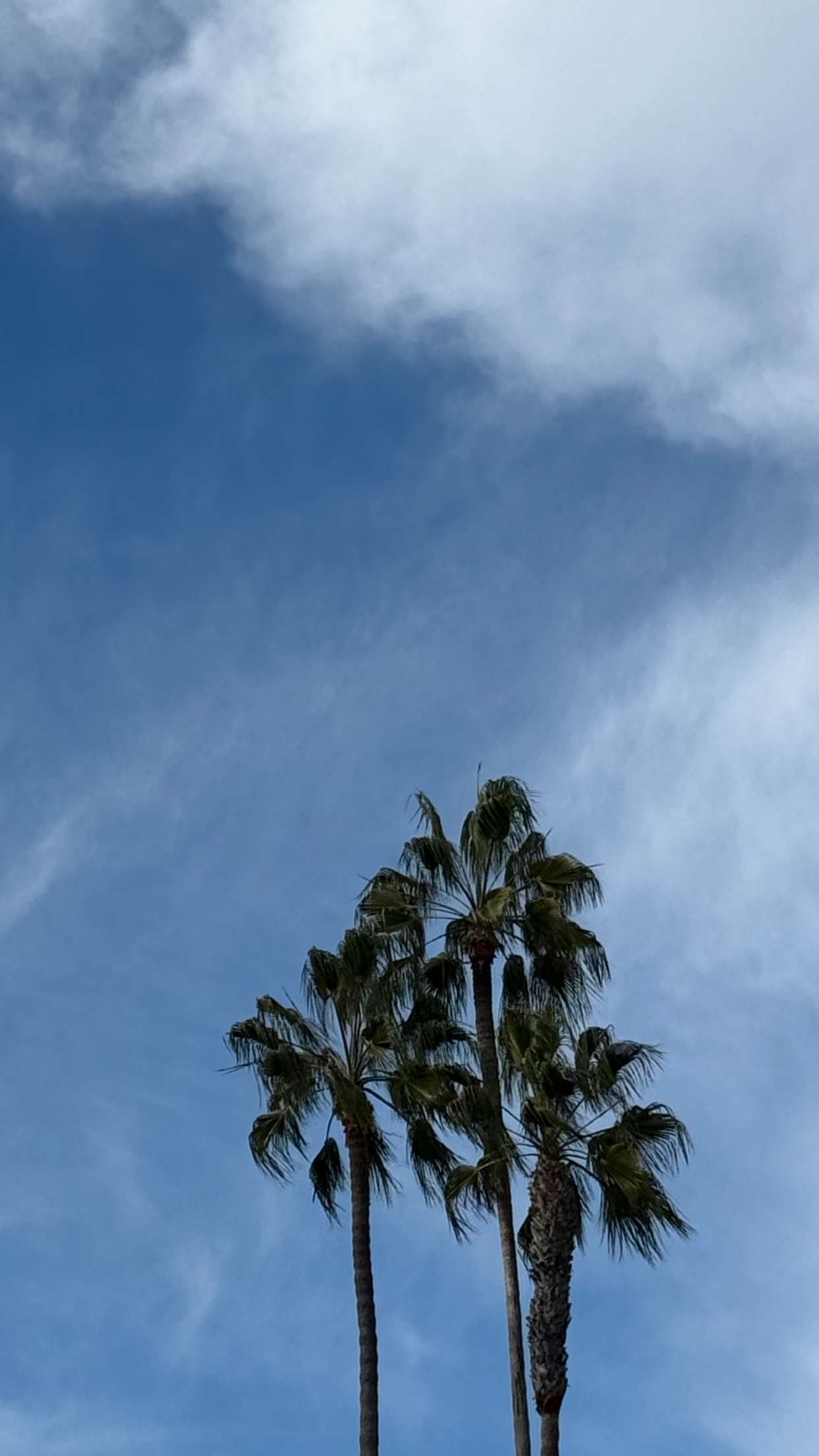 emilyelizabbeth snapchat image archive image