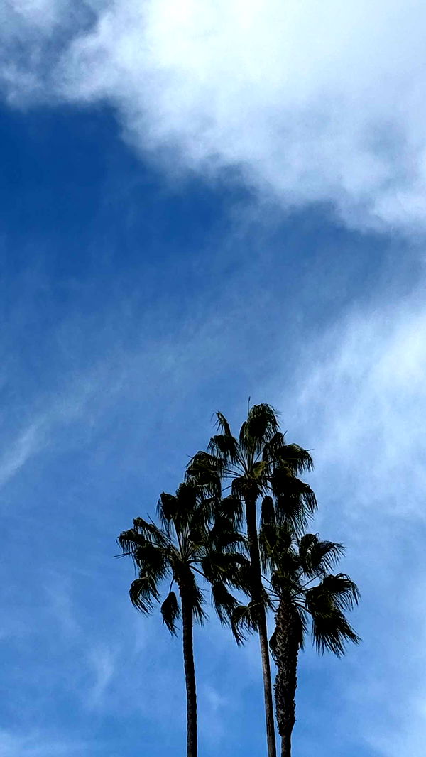 emilyelizabbeth image ~ Altpins