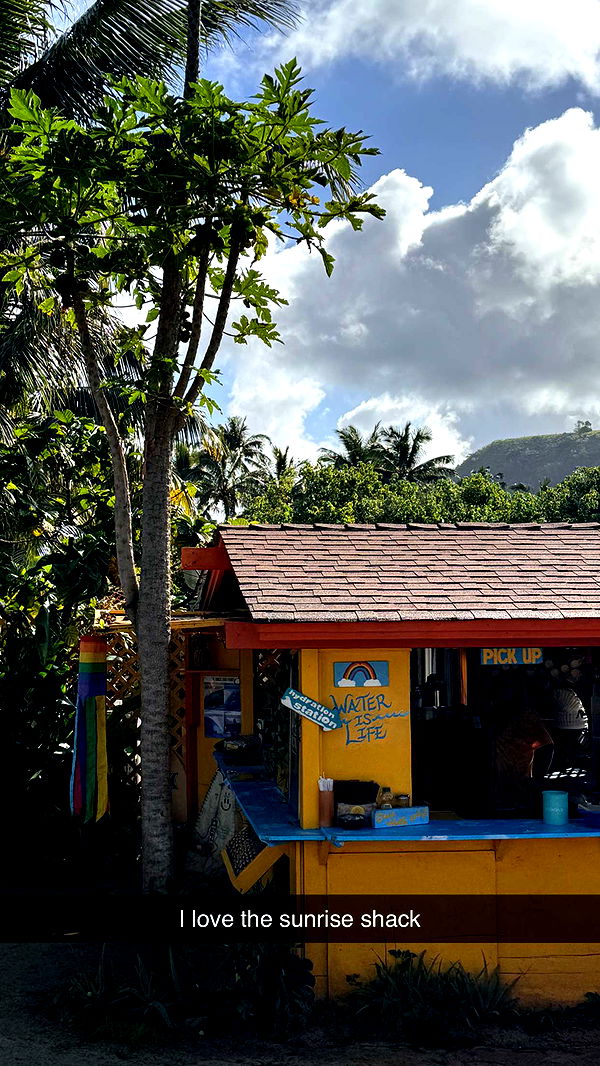 emilyelizabbeth image ~ Altpins