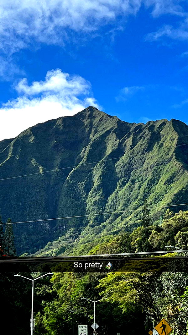 emilyelizabbeth image ~ Altpins