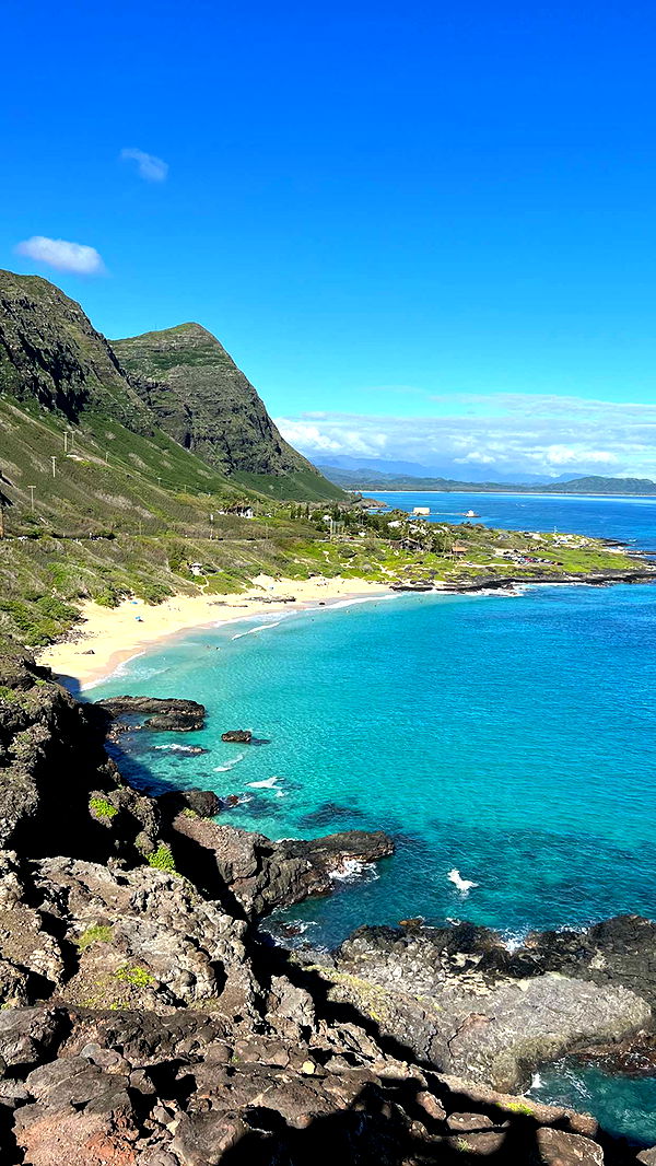 emilyelizabbeth image ~ Altpins