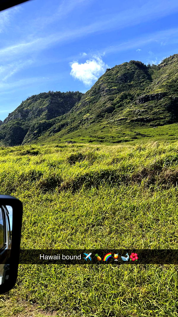 emilyelizabbeth image ~ Altpins