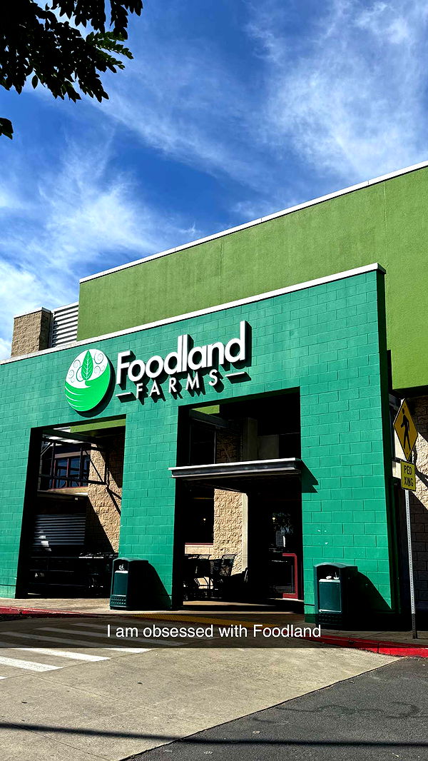 emilyelizabbeth image ~ Altpins