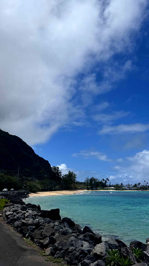 emilyelizabbeth image ~ Altpins