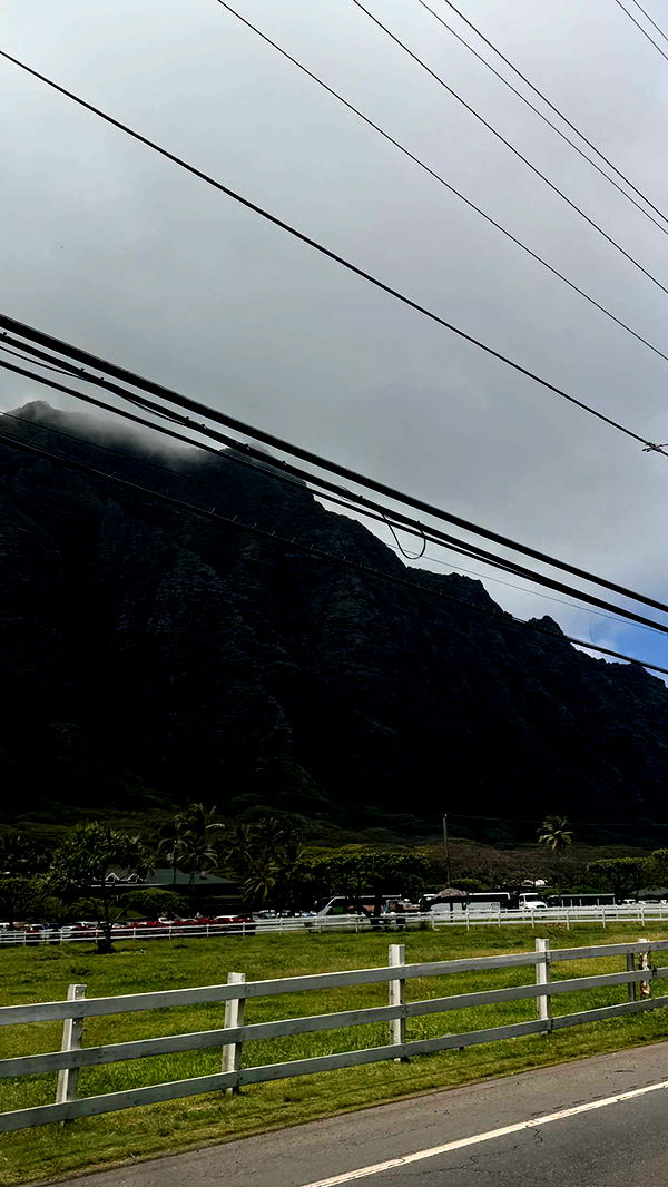 emilyelizabbeth image ~ Altpins