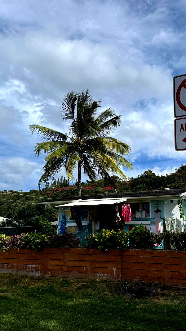 emilyelizabbeth image ~ Altpins