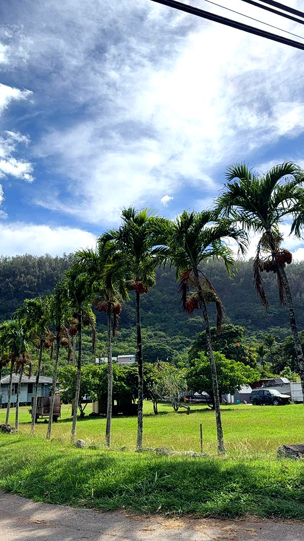 emilyelizabbeth image ~ Altpins