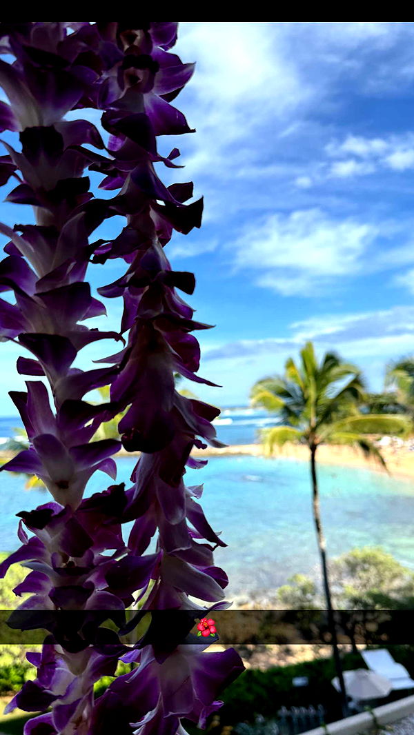 emilyelizabbeth image ~ Altpins