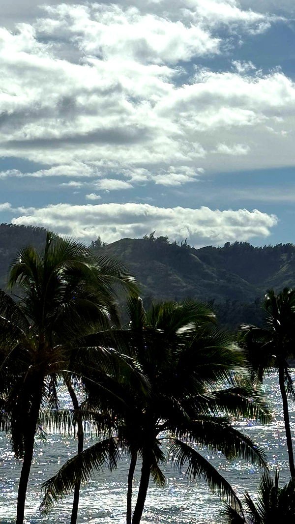 emilyelizabbeth image ~ Altpins