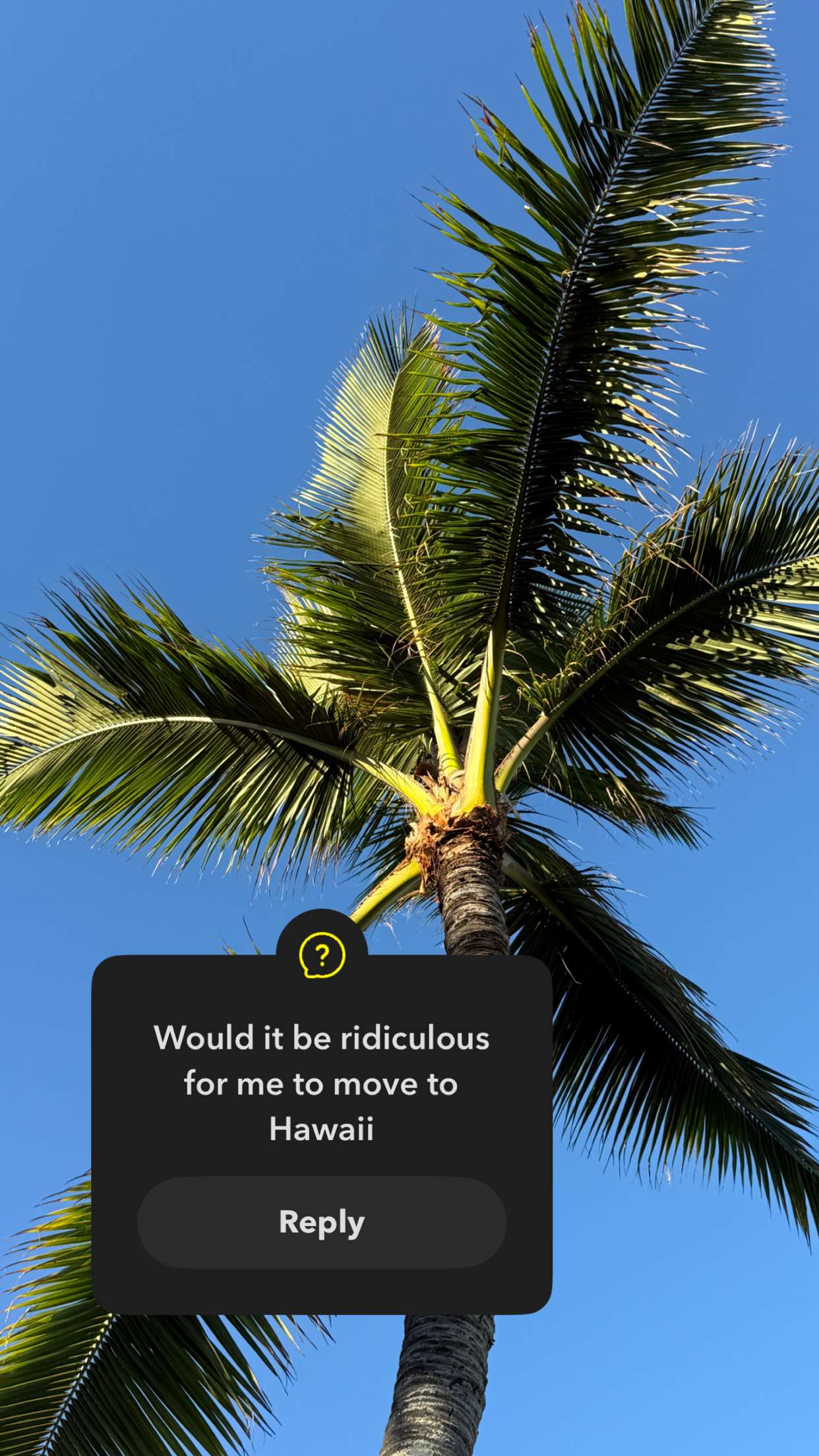 emilyelizabbeth snapchat image archive image