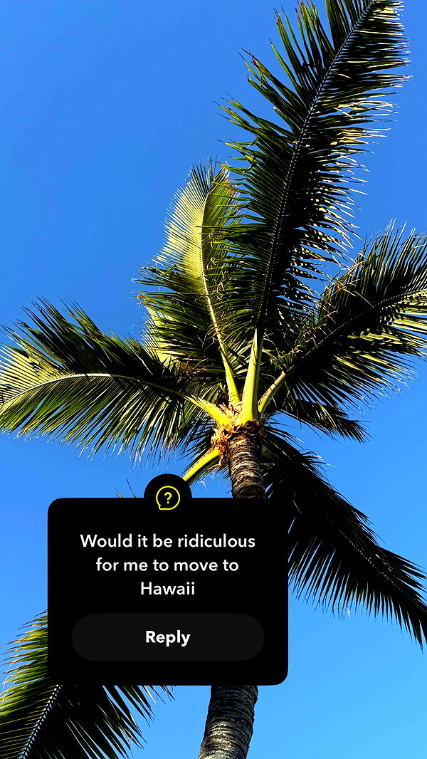 emilyelizabbeth image ~ Altpins