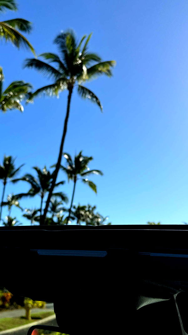 emilyelizabbeth image ~ Altpins