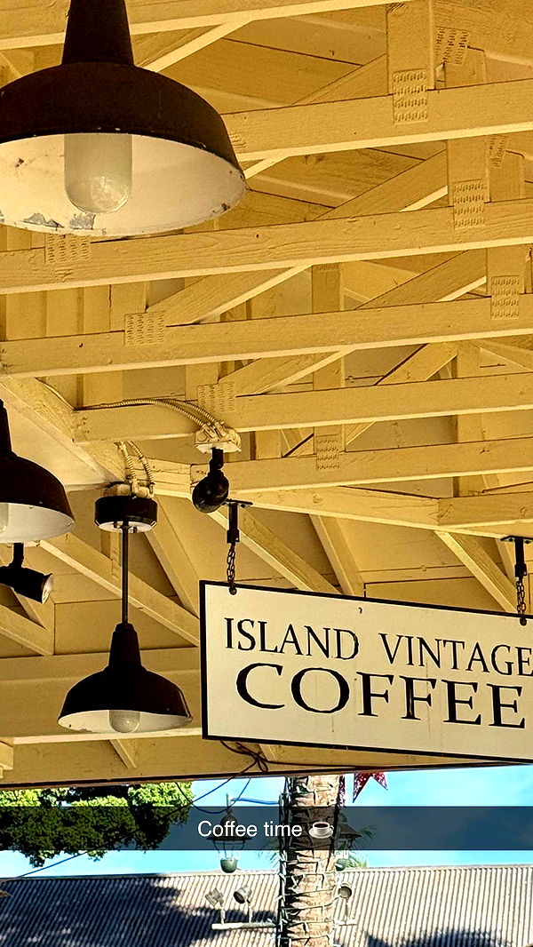 emilyelizabbeth image ~ Altpins