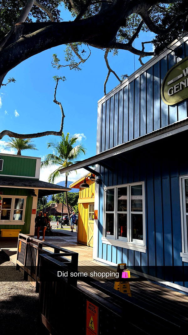 emilyelizabbeth image ~ Altpins