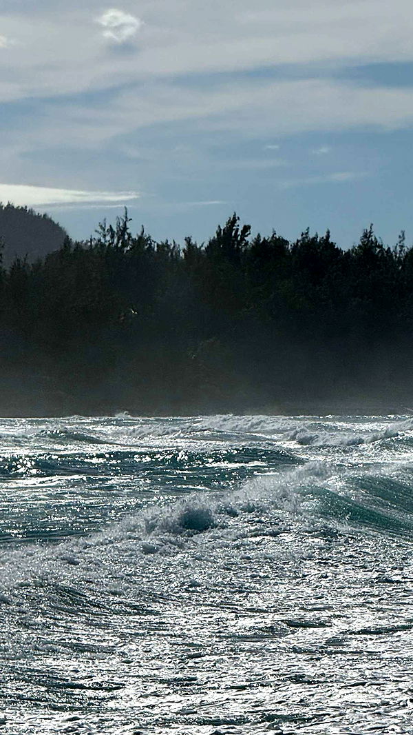 emilyelizabbeth image ~ Altpins