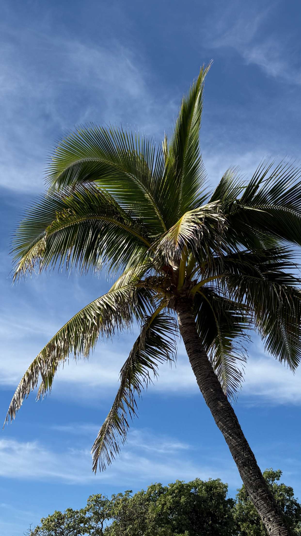 emilyelizabbeth snapchat image archive image