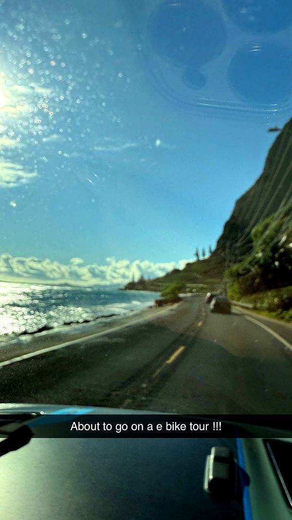 emilyelizabbeth image ~ Altpins