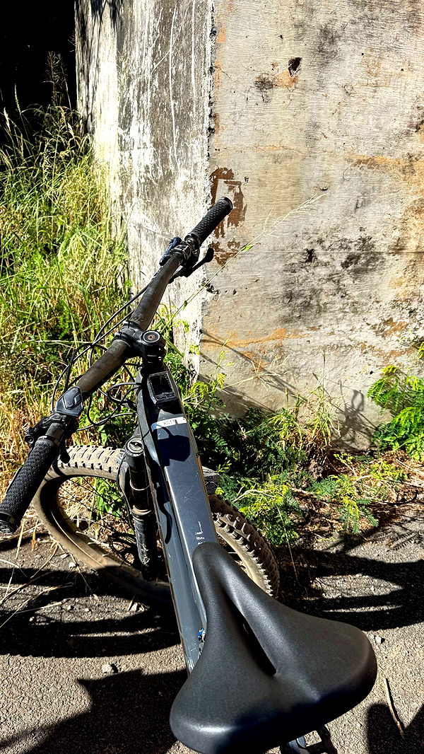 emilyelizabbeth image ~ Altpins