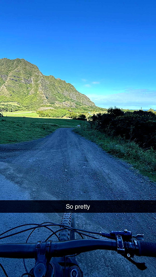 emilyelizabbeth image ~ Altpins