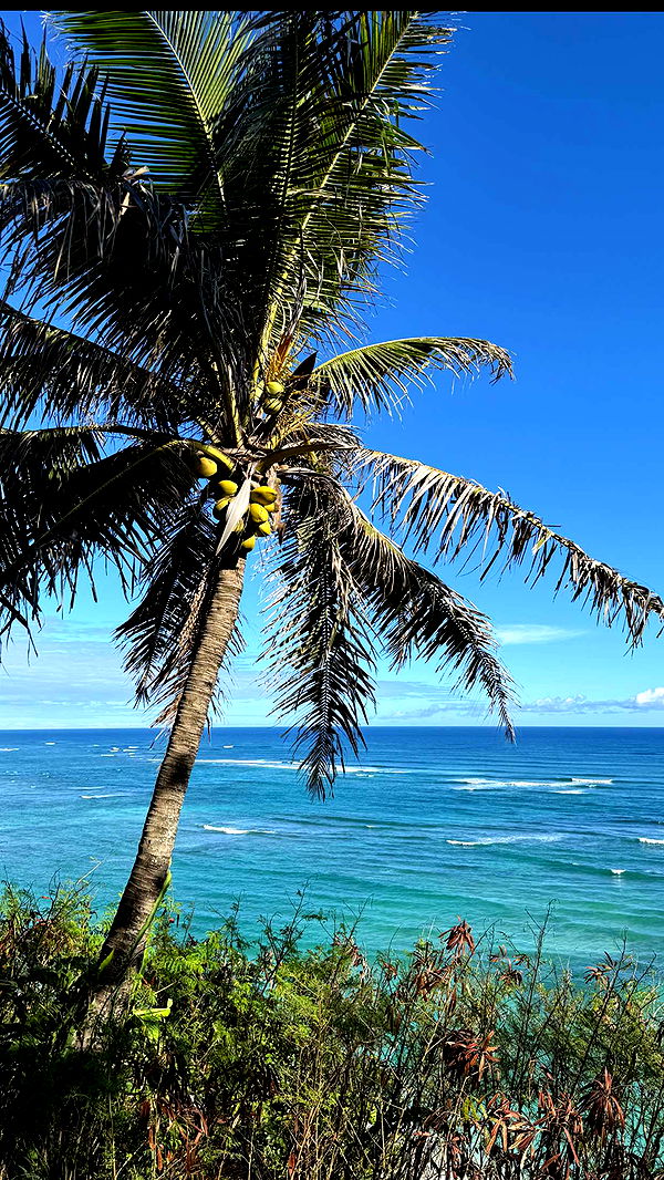 emilyelizabbeth image ~ Altpins