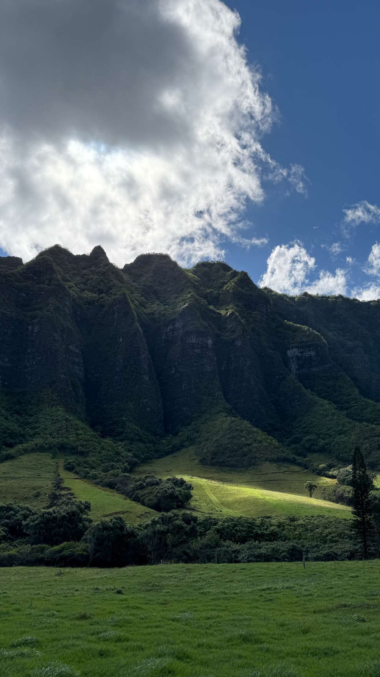 emilyelizabbeth snapchat image archive image