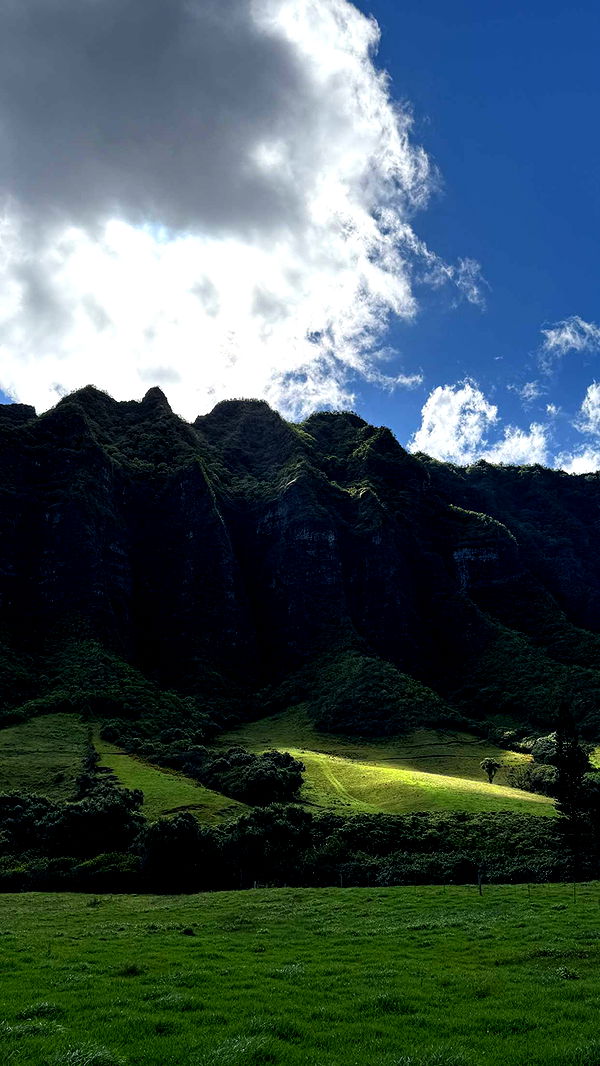 emilyelizabbeth image ~ Altpins