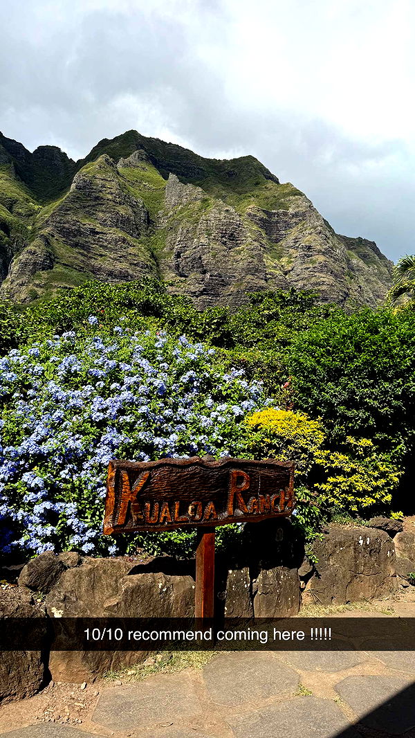 emilyelizabbeth image ~ Altpins