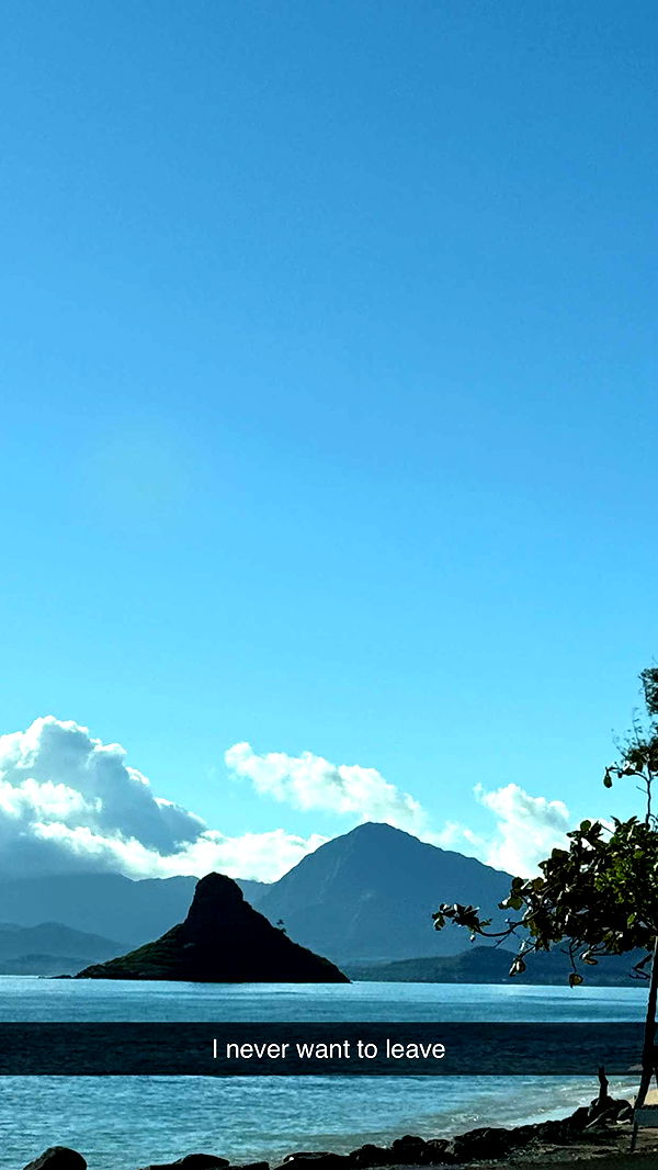 emilyelizabbeth image ~ Altpins