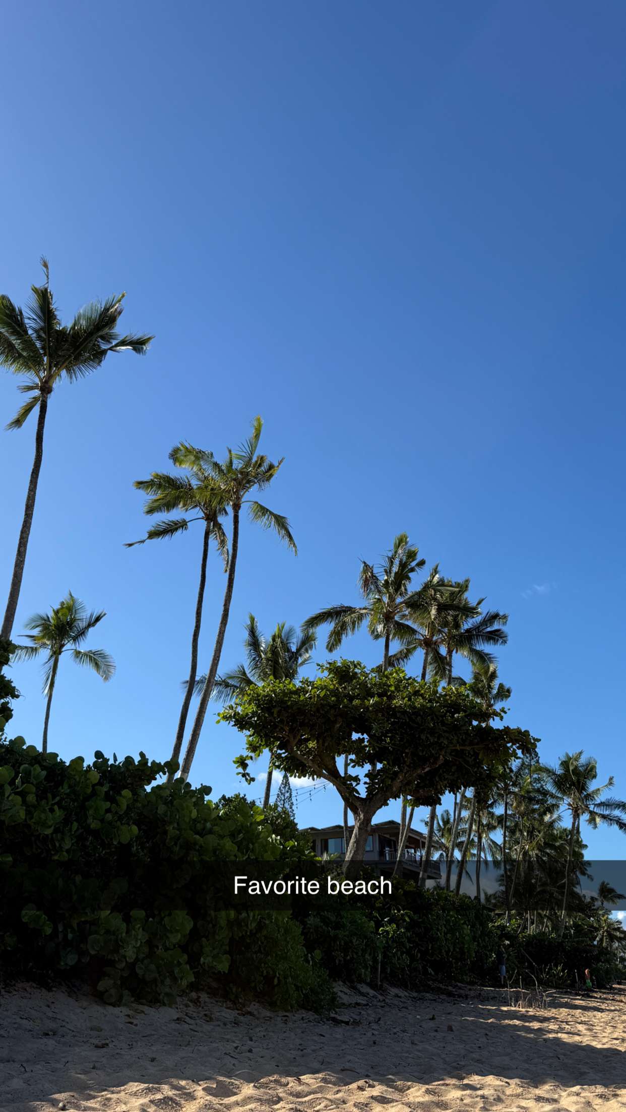 emilyelizabbeth snapchat image archive image