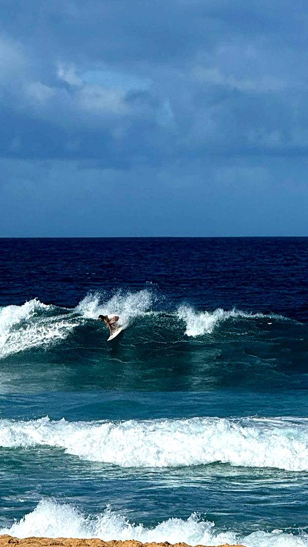 emilyelizabbeth image ~ Altpins