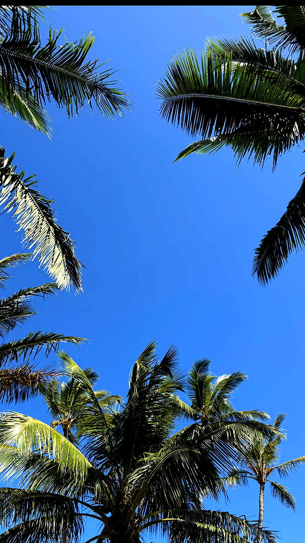 emilyelizabbeth image ~ Altpins