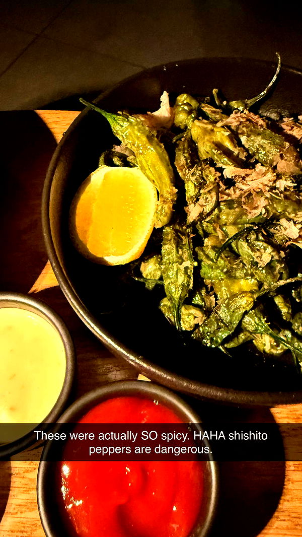 emilyelizabbeth image ~ Altpins