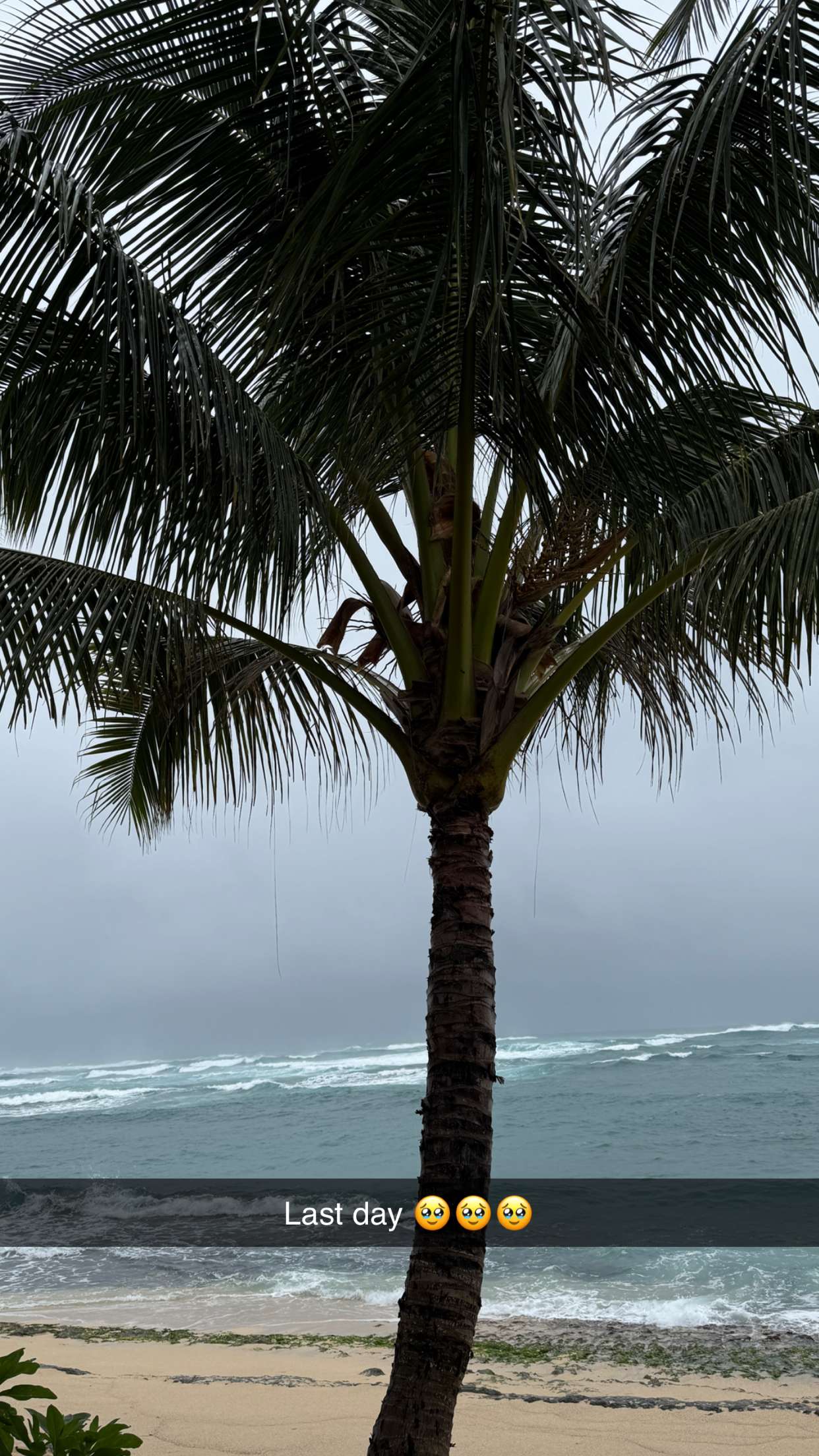 emilyelizabbeth snapchat image archive image