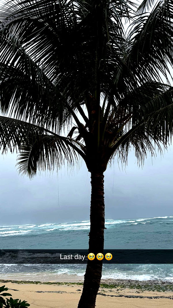 emilyelizabbeth image ~ Altpins