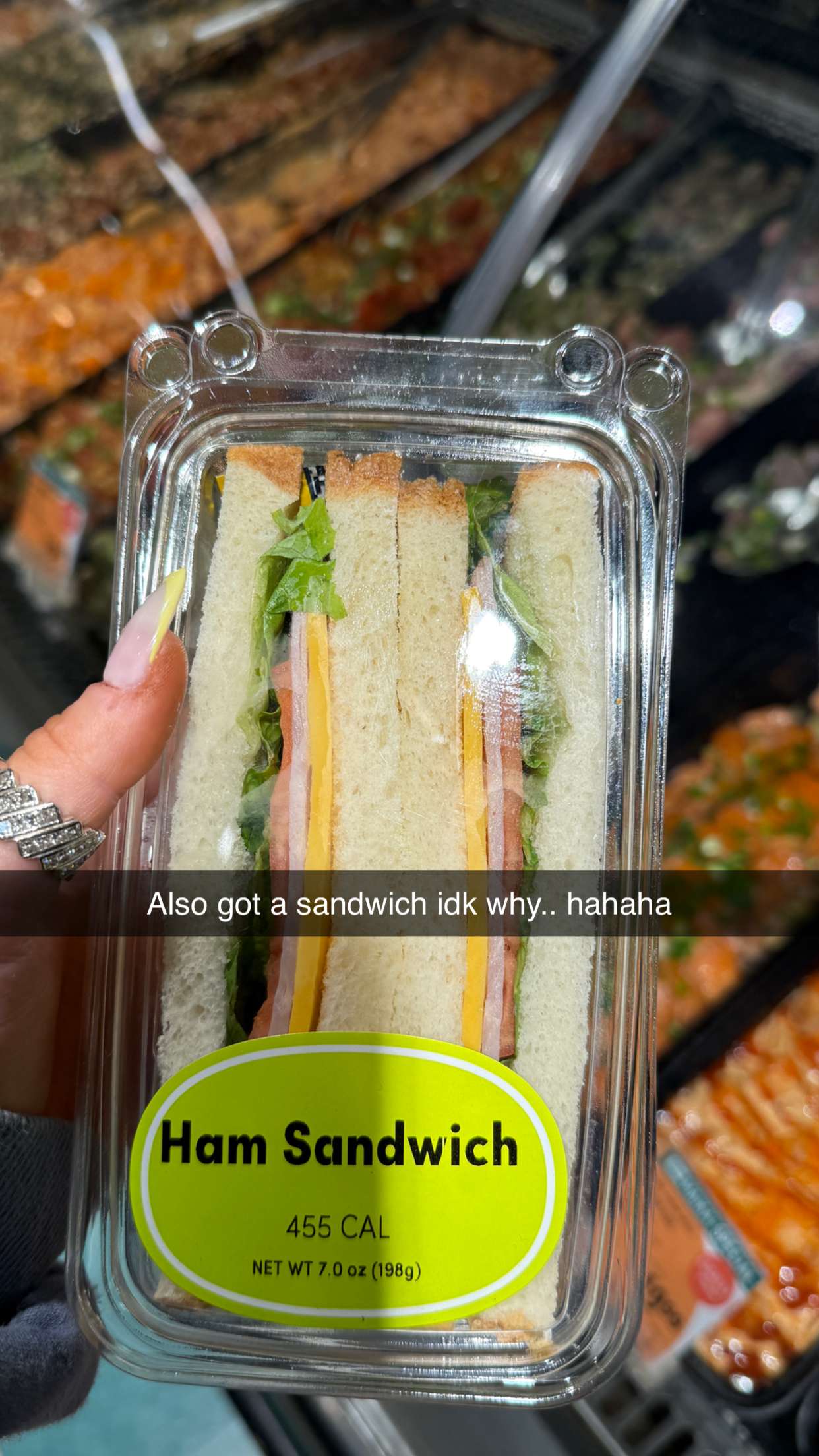 emilyelizabbeth snapchat image archive image