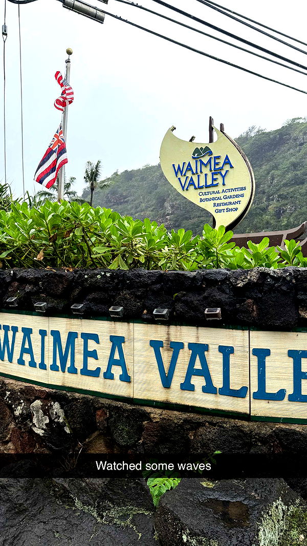 emilyelizabbeth image ~ Altpins