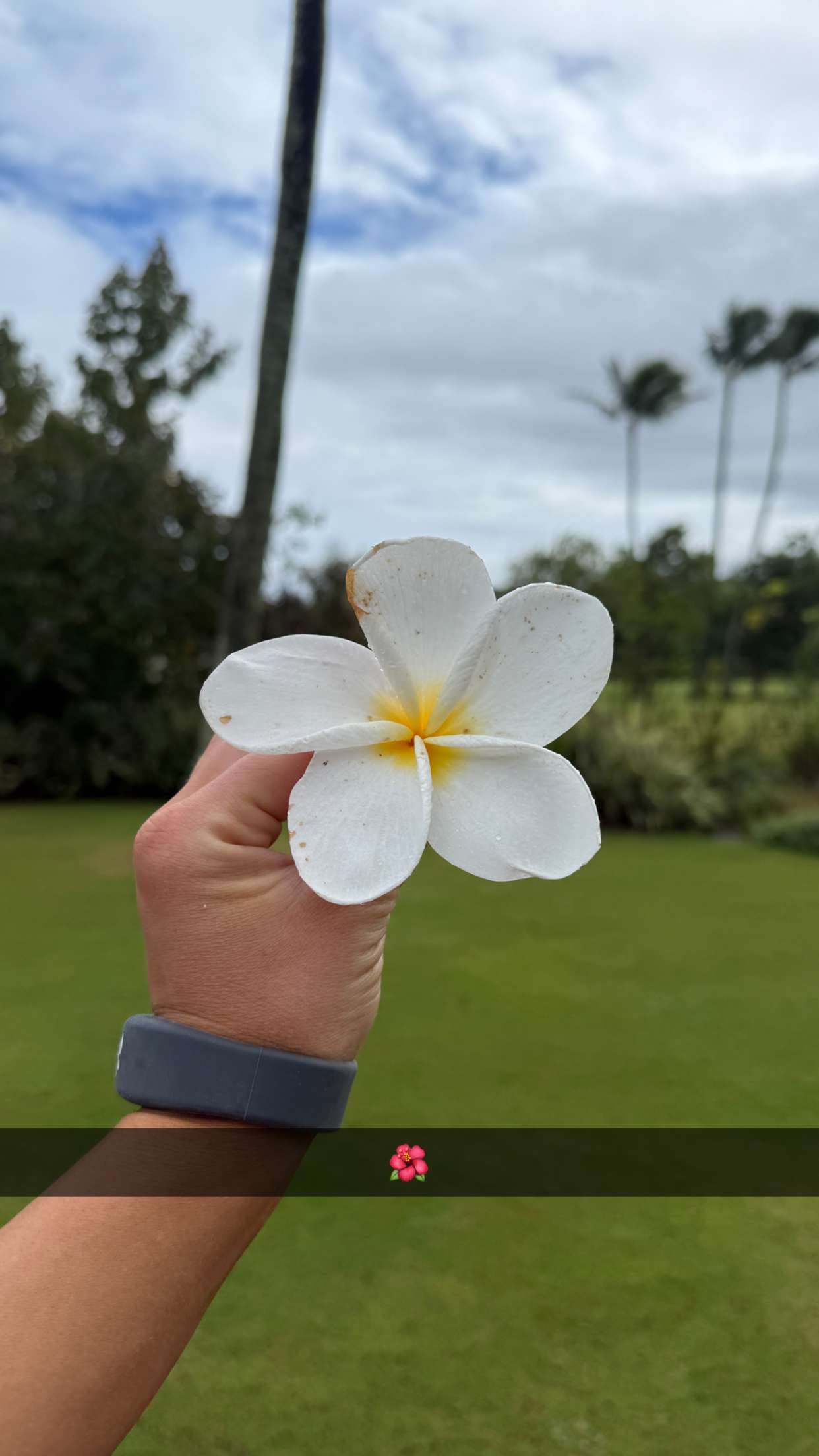 emilyelizabbeth snapchat image archive image