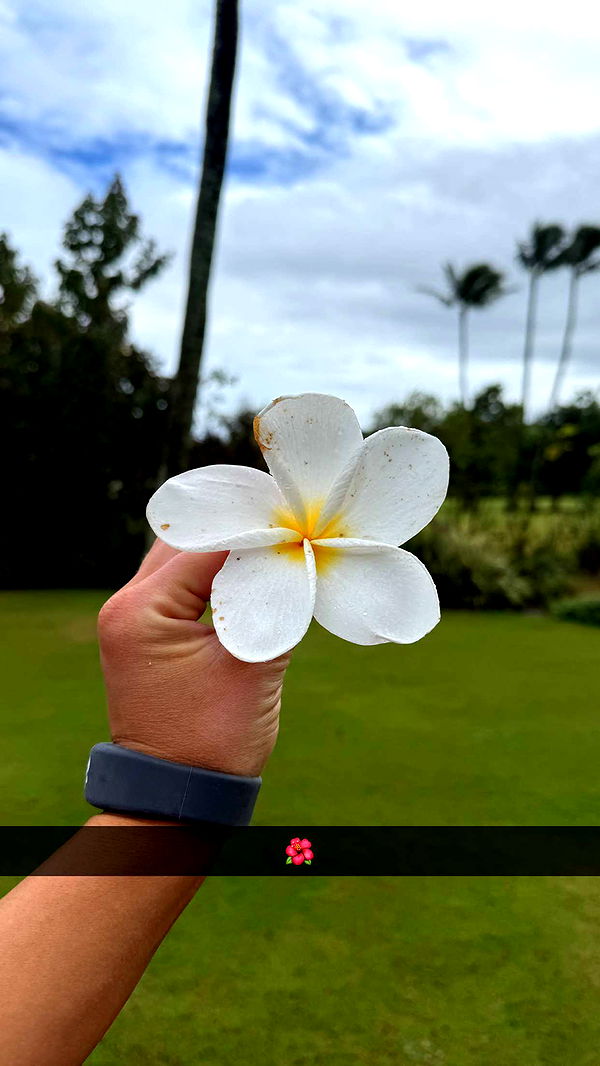 emilyelizabbeth image ~ Altpins